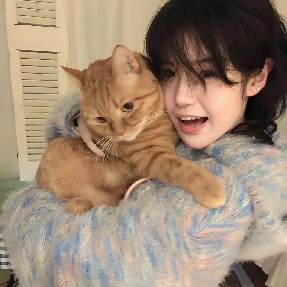 虹猫蓝兔奥悠国历险记