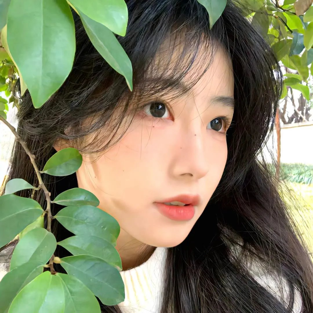 智力测试